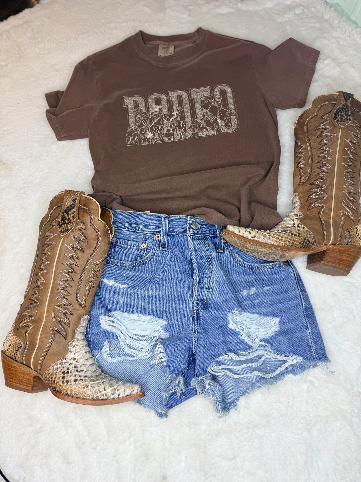 Rodeo