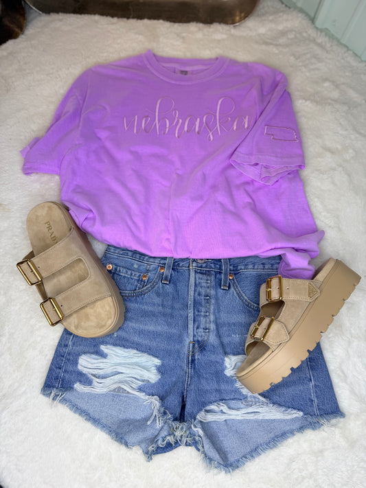 Nebraska (purple)